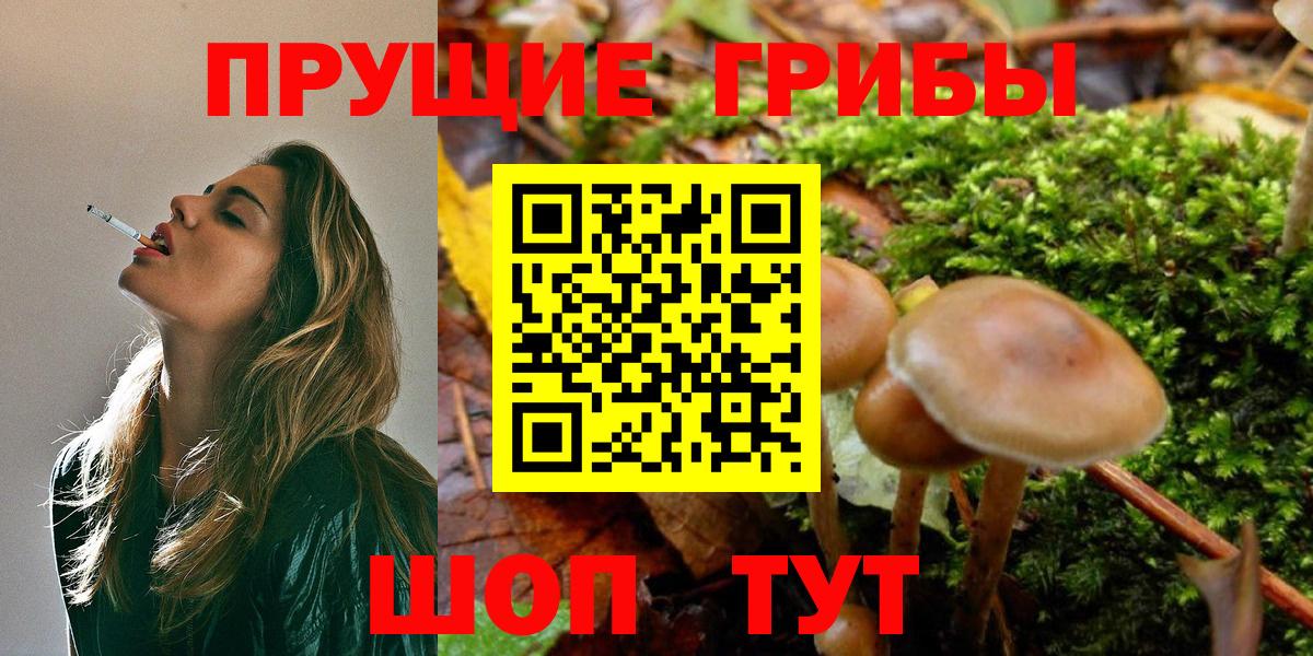 Псилоцибиновые грибы мухоморы  Вход с VPN  Чистополь 