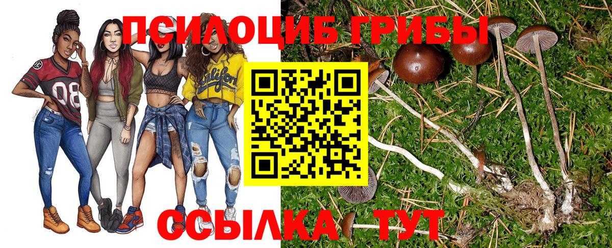 Галлюциногенные грибы MAGIC MUSHROOMS Чистополь